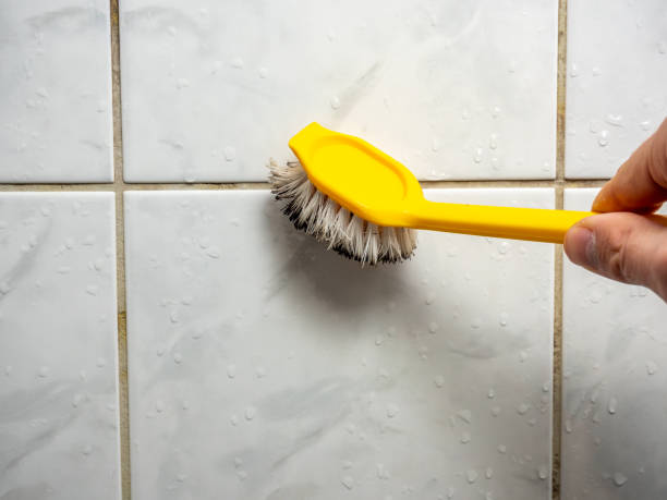 Best Preventive Mold Services in Venersborg, WA